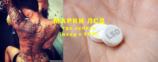 индика Кинешма