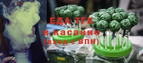индика Кинешма