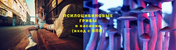 индика Кинешма