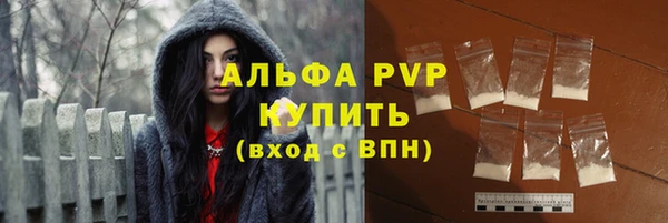 индика Кинешма