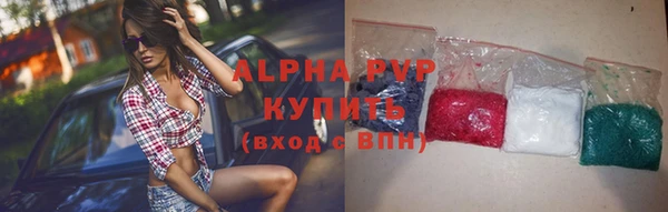 индика Кинешма
