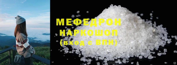 индика Кинешма