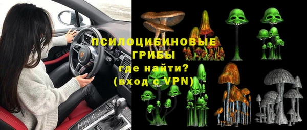 спиды Козловка