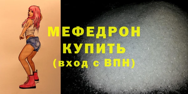 индика Кинешма