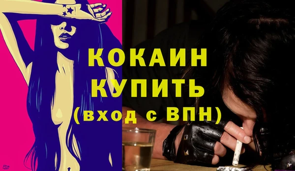 индика Кинешма