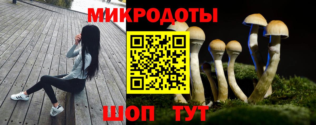 Псилоцибиновые грибы GOLDEN TEACHER Луга