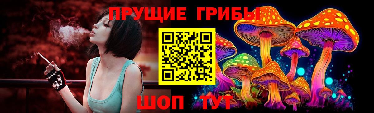 Галлюциногенные грибы Psilocybe  Вход с VPN  Луга 