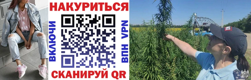 Каннабис семена  Луга 