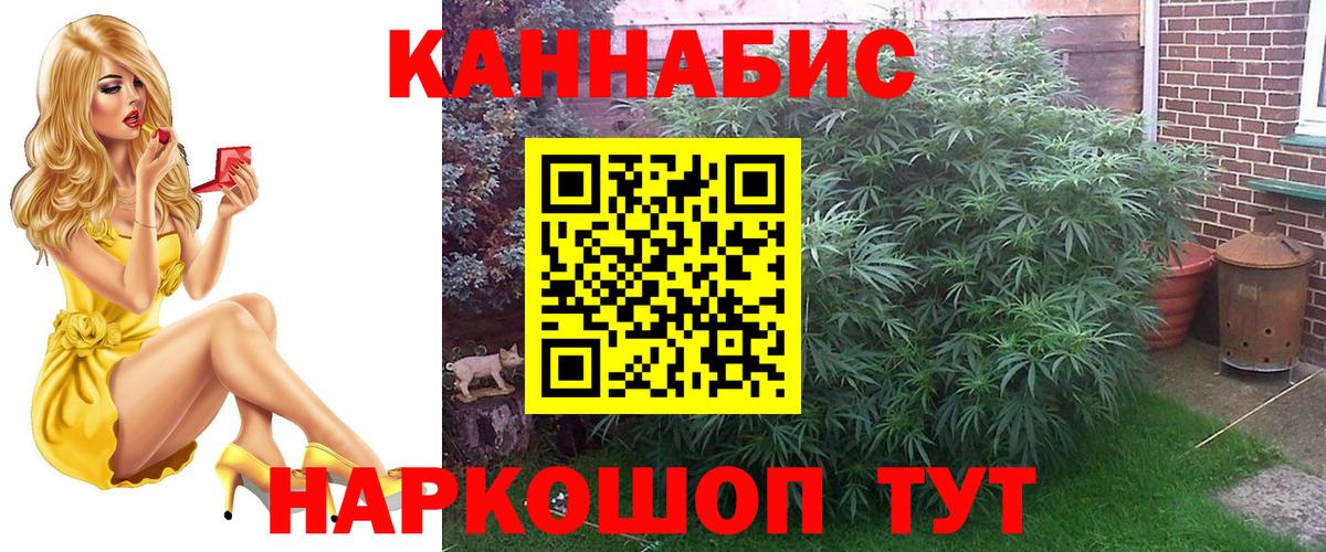 Канабис семена  Конопля Bruce Banner  Вход с VPN  Шишки марихуана индика  Луга  Каннабис Amnesia 